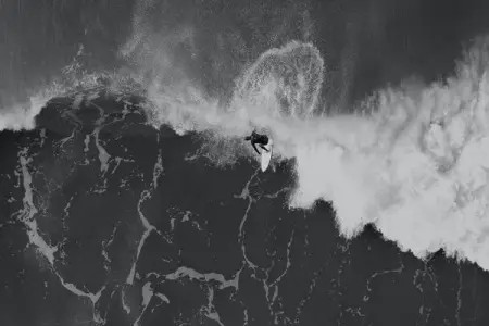 We have all been enchanted with getting high and having a free awareness, and so we hav