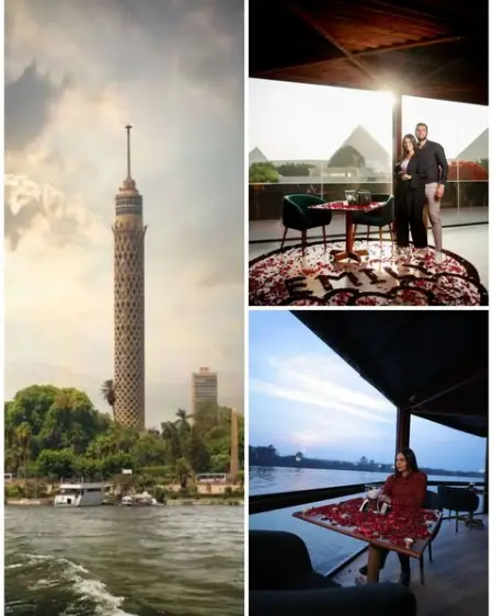 Tree Lounge Now at the best three landmarks in Egypt.

With a very special arra