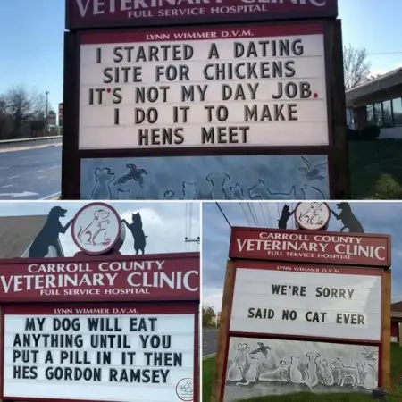 Visit the vet in style with these signs. An animal clinic in Maryland, USA, f