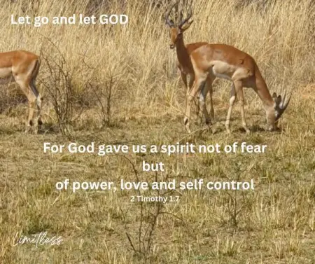 May God lead your new week 
Limitless
Send WhatsApp message