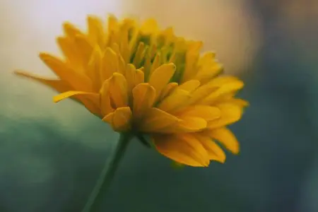 So when you open yourself, theres a line in the Tao that says, Truth waits