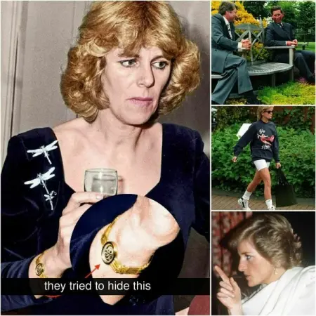 Diana and Charles Relationship Moments That Are Only Now Coming To Light
TRAVELERDREAMS.CO