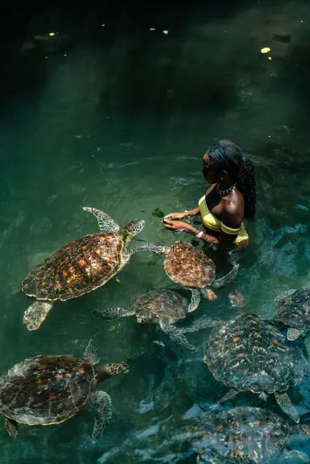 Always ready to have fun ..No kids zone  