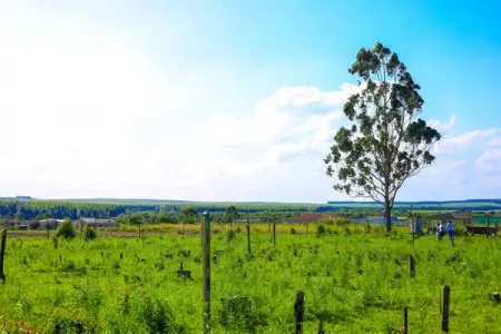 API.WHATSAPP.COM
Site
Send WhatsApp Message
 