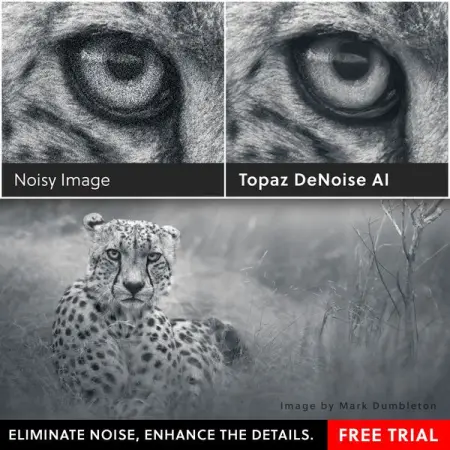 ISO Noise has always been a concern for me, but with the advanced technolog