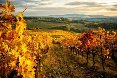Come explore Bella Umbria this autumn and experience the beauty, the colors