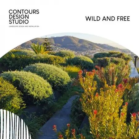 BIT.LY
Wild and Free
Contact Us
 