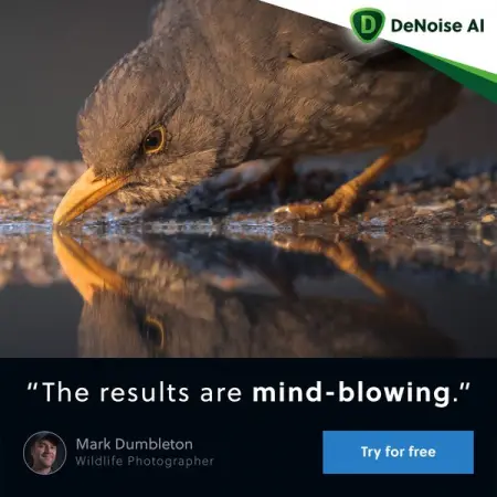 When youre trying to capture wildlife, the environment often requires high I