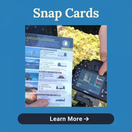 Snap Cards 44 print-at-home photography cheat sheets that you can take with 