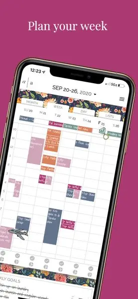 Plan your week
Learn More
 