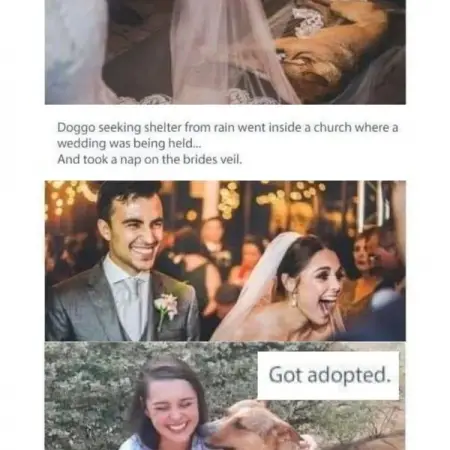 Did your hearts not melt after reading this post?
BRIDESBLUSH.COM
45 People Share He