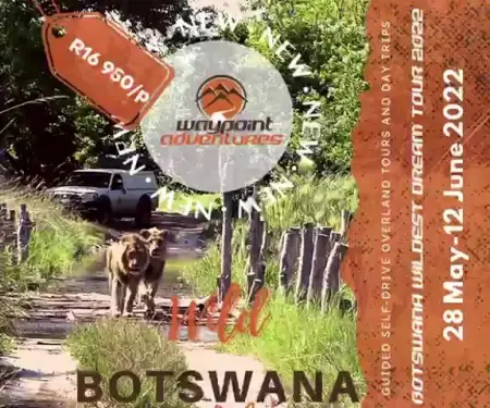 Botswana Wildest Dream 4
SAT, 10 JUN 2023-24 JUN 2023

15 DAYS - AN EPIC AND 