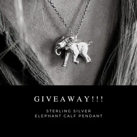 GIVEAWAY ALERT! I am incredibly grateful for the support Ive received from this com