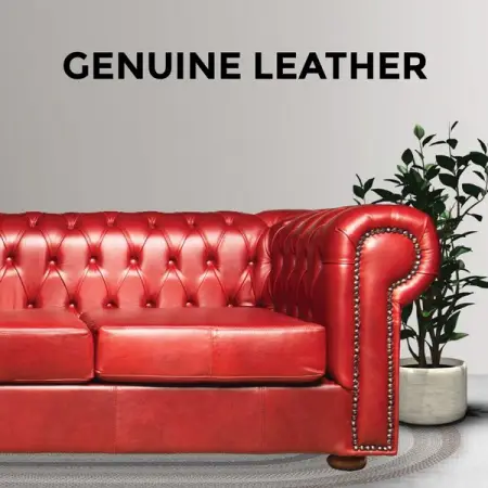 TRUEWOODFURNITURE.CO.ZA
Chesterfield
Shop Now
 