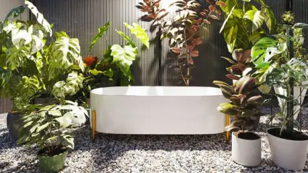 BIT.LY
Ready to Import and Render 
Shop Now
 