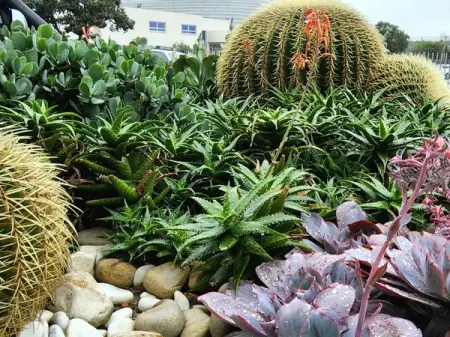 ALD.LAND
Waterwise Gardens
Learn More
 