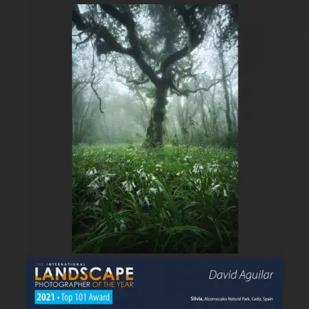 Some of the worlds best landscape photography - internationallandscapep