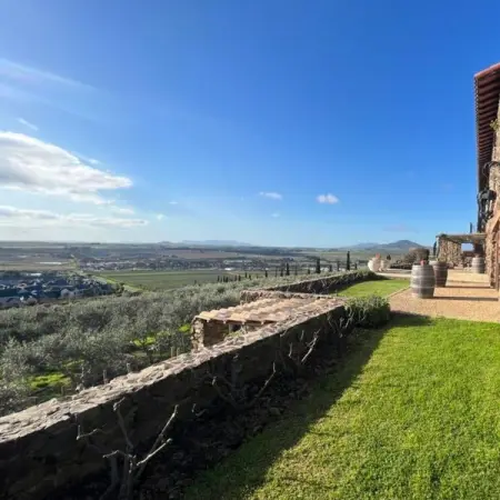 PORTAL.FLOWLIVING.COM
2.8-hectares of vineyards
Learn More
 