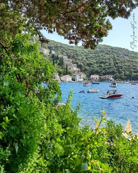 U nekom svom svetu....
.
.

.
.
.
.
.
.
.
.
.
.
.
.
.
.
.
.
nature naturephotography natu