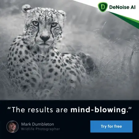 TOPAZLABS.COM
Get Noise-free Images In Seconds
Join hundreds of professional photogr