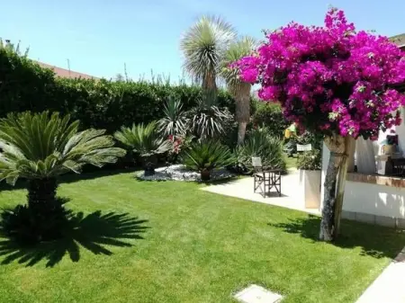 API.WHATSAPP.COM
    
                     !
Send WhatsApp Message
                     