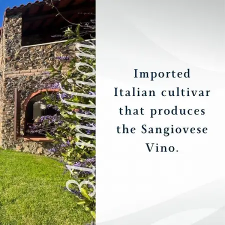 PORTAL.FLOWLIVING.COM
Contact for your viewing
Learn More
 