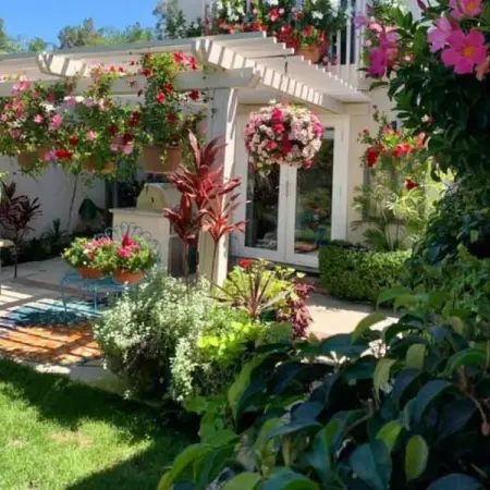 API.WHATSAPP.COM
    
                .
Send WhatsApp Message
              