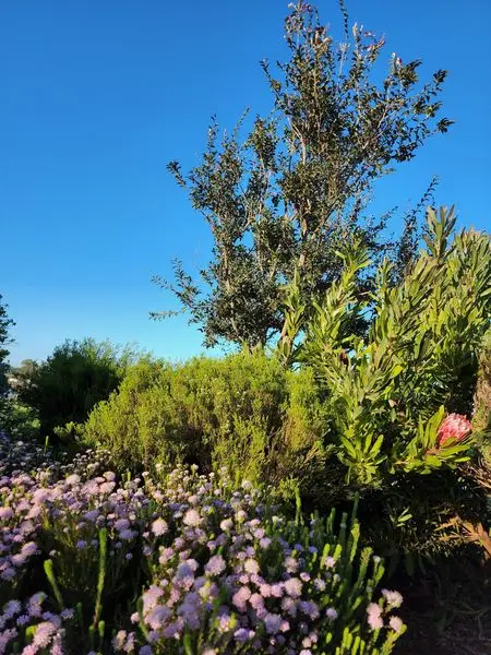 ALD.LAND
Eco Belts
Learn More
 