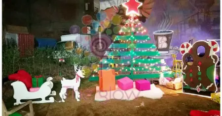 If you are looking for unique new years decorations ...just contact us  because unique is j