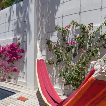 ALD.LAND
We install and maintain all types of gardens
Learn More
 