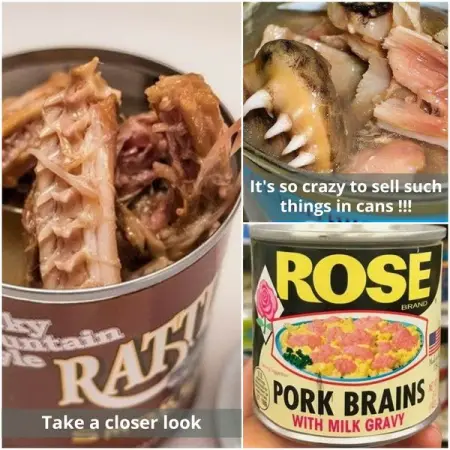 27 photos of weird canned foods sold in America and abroad
TRAVELERDREAMS.COM
27 photos 