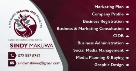 Let us help you with a winning detailed Business Plan with 5 Years Financial Projections at
