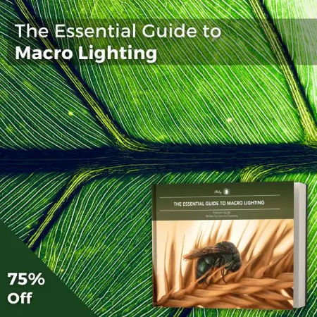 PHOTZY.COM
Macro Lighting Guide 75 Off
Learn the art of lighting in macro photography.
Learn