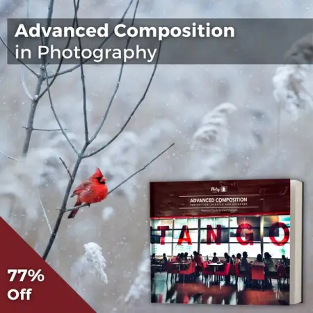 PHOTZY.COM
Advanced Composition Guide 77 Off
Get beyond the rule of thirds.
Learn More
Get 