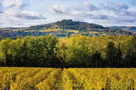 Drive 200 km southbound from Paris, or roughly 500 km eastwards from the point where the