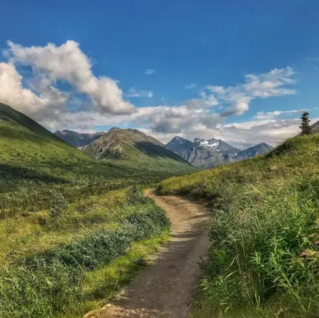 Some beautiful paths cant be discovered without getting lost  Erol Ozan
.
.
.
.
.
nat