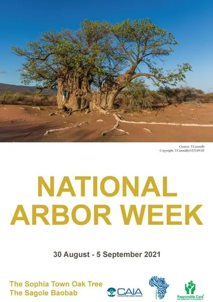 National Arbor Week 2021 - 30 August to 5 September

South Africa celebrates Nation