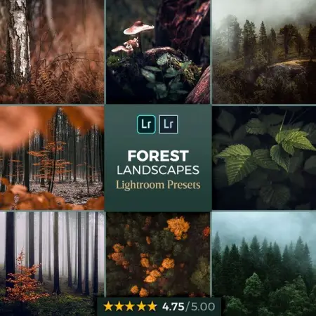 NORTHLANDSCAPES.COM
Forest Lightroom Presets
7 Modules51 Presets
Learn More
7 Modules51 