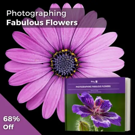PHOTZY.COM
Flower Photography Guide 68 Off
Create better flower photos starting today.
Learn