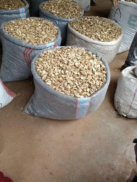 master of the ceremony and event planner
MC Nelsat
Event Service, DJ, Performanc