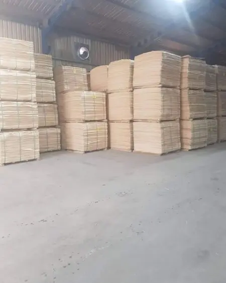 DOSAWOODGROUP.COM
Learn More
 