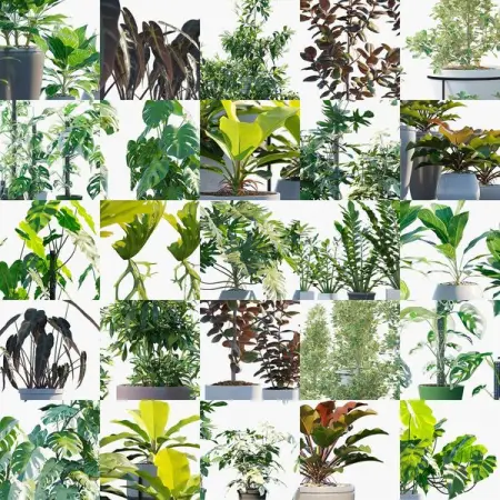 BIT.LY
Almost Identical To Real Life
Shop Now
 