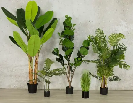 Shop our latest collection of faux plants and enjoy the beauty of the lifelike textur
