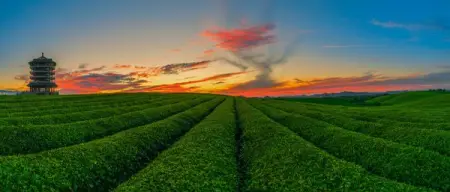 Guizhous Zunyi city features Chinas largest Danxia landscape, waterfalls, and bamboo