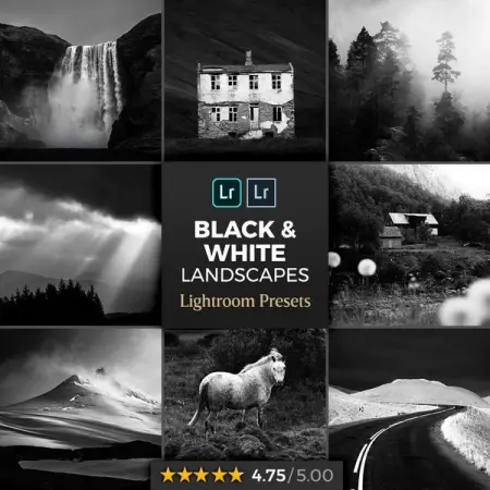 NORTHLANDSCAPES.COM
Black  White Lightroom Presets
6 Modules42 Presets
Learn More
6 Modu