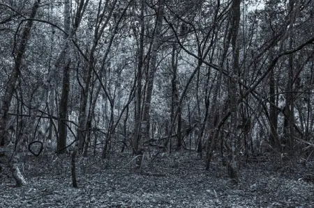 Possibilities 8


photo photooftheday photography photographer scad alabama sava