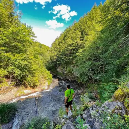 Once you become accustomed to life you will see its full meaning and its 