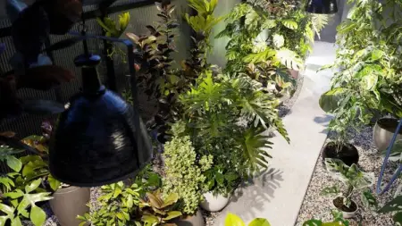 BIT.LY
Bundle 30 includes 14 3D interior pot plants
Shop Now
 