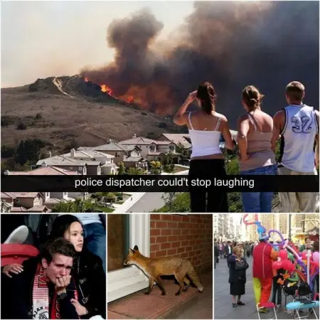 Police Dispatchers Are Sharing The Funniest 911 Calls Theyve Received
YOURSPORTSPOT.