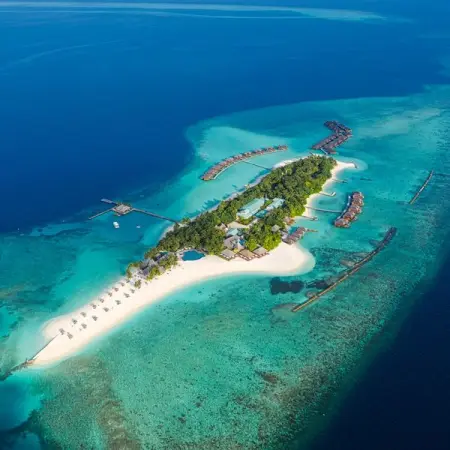 Looking for a bespoke boutique escape in the Maldives? Opt for Veligandus All-Inclusive Plus